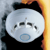 templateimage_26_4